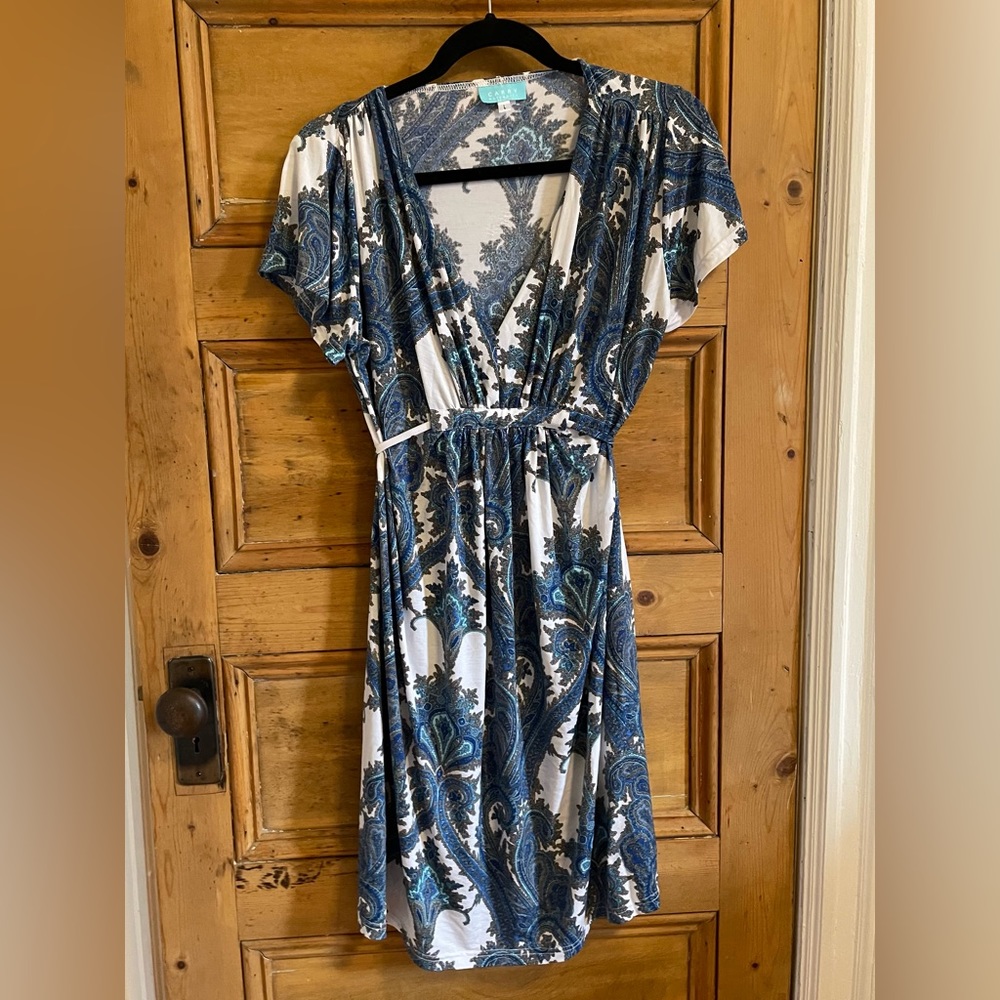 Carry Maternity dress